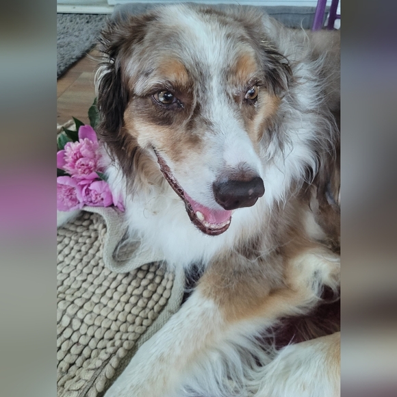 ReneeResellRack is LIVE@6 pm central💥$5 Unlisted NWT & preloved Women XS-3X - Picture 9 of 16